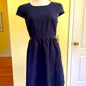 NWT Navy and black Forever21 Contemporary dress
